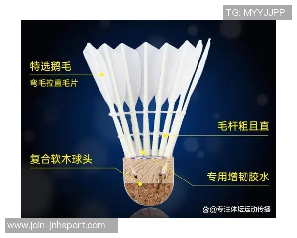 科学羽毛球比赛经验与训练方法的全面解析与实用技巧分享 科学羽毛球比赛经验与训练方法的全面解析与实用技巧分享